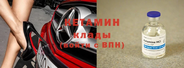 шишки Верея
