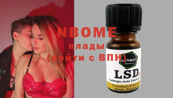 шишки Верея