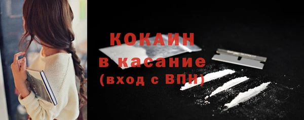 шишки Верея