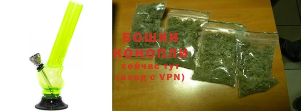 шишки Верея