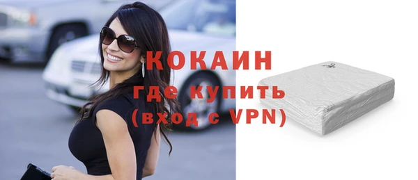 шишки Верея