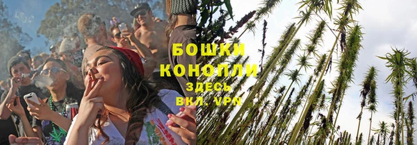 молекула духа Володарск