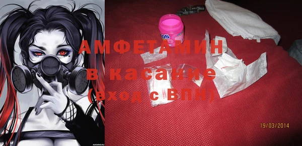 шишки Верея
