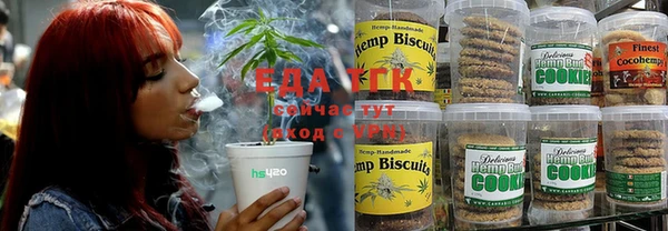 шишки Верея