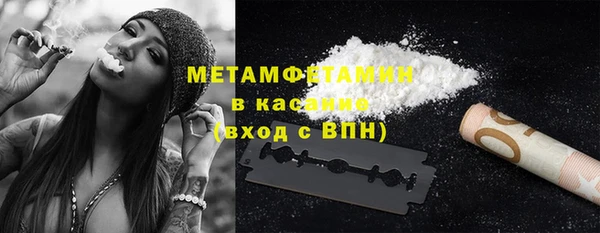 шишки Верея