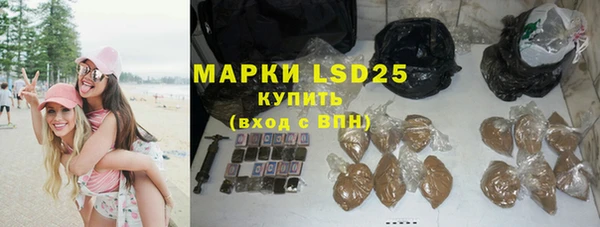 шишки Верея