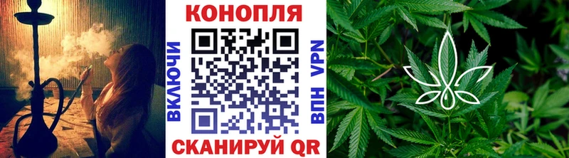 купить наркотики сайты  Лодейное Поле  Бошки марихуана SATIVA & INDICA 